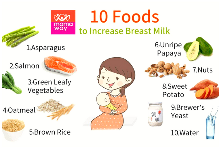 Foods To Eat To Enhance Milk Production
