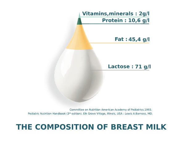 nutritional components of breast milk 3