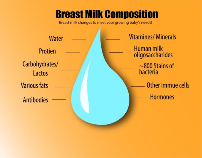 Nutritional Components Of Breast Milk